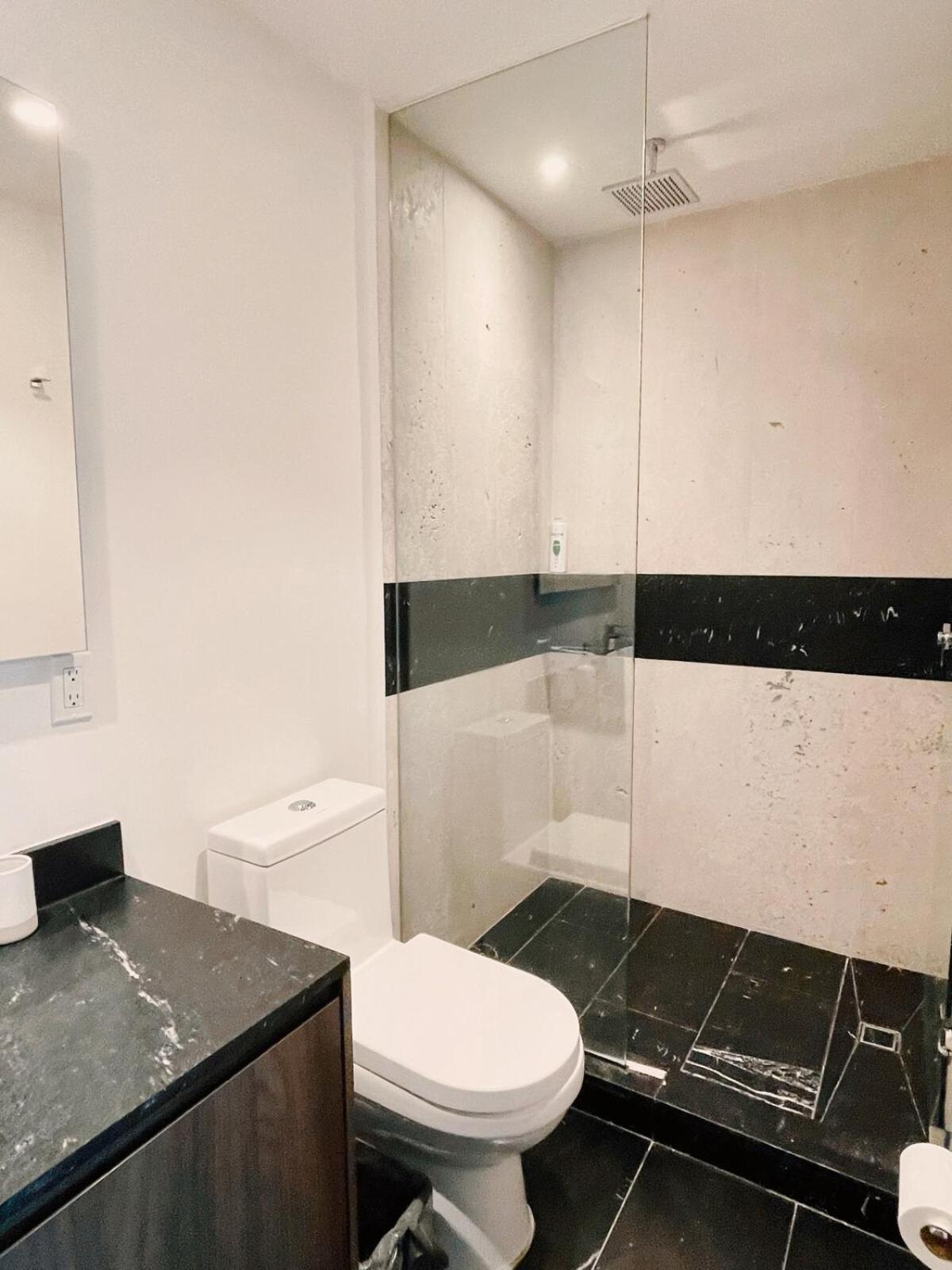 Sunlit Apt, Prime Location In Polanco, Fast Wifi Apartment