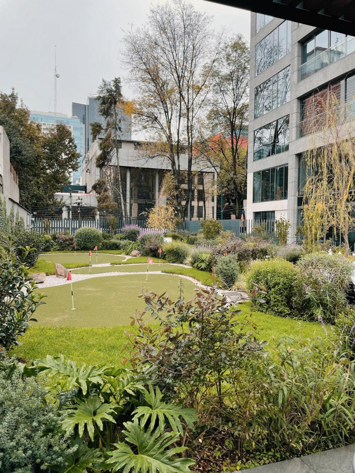 Sunlit Apt, Prime Location In Polanco, Fast Wifi