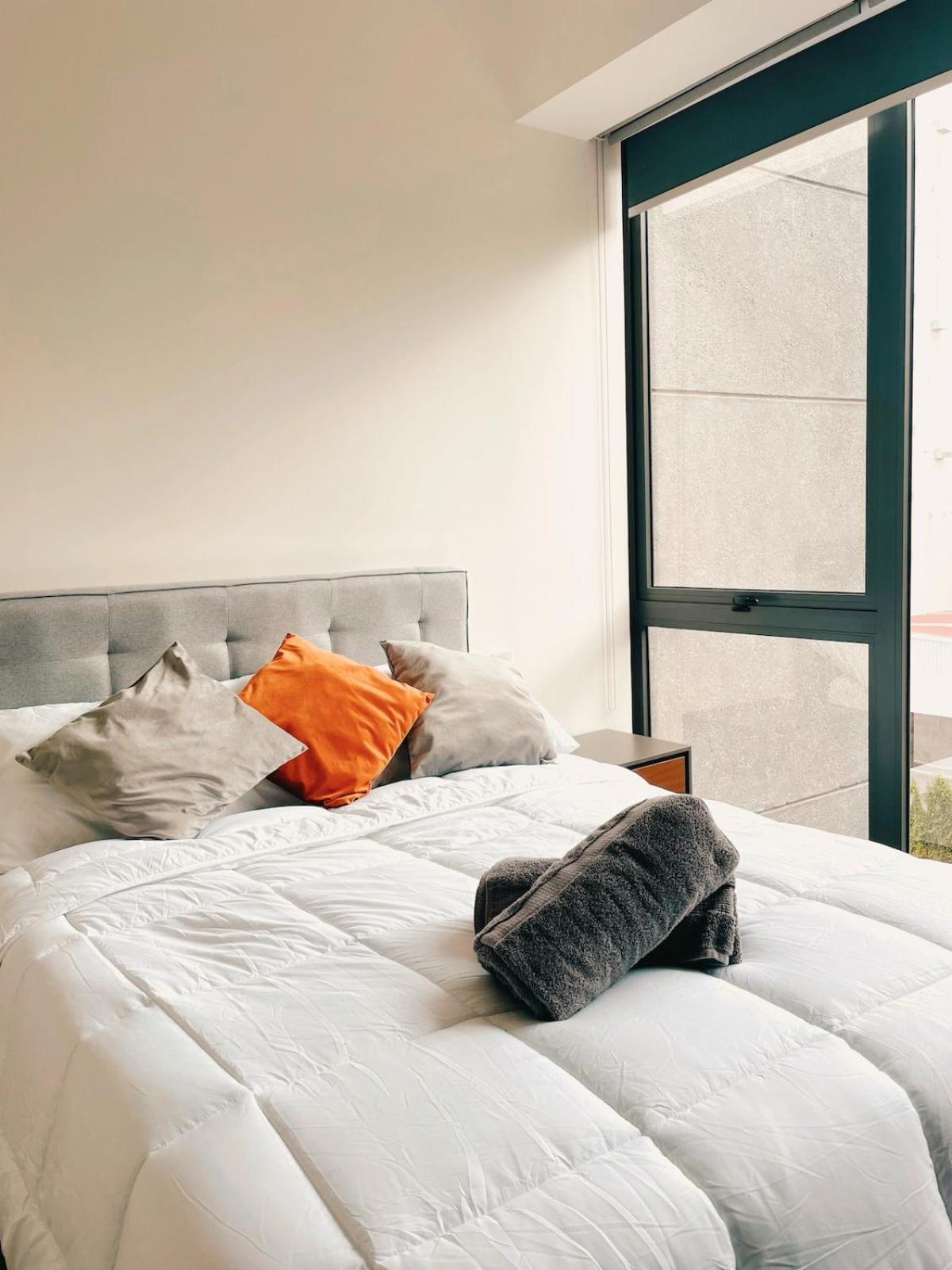 Sunlit Apt, Prime Location In Polanco, Fast Wifi Apartment *