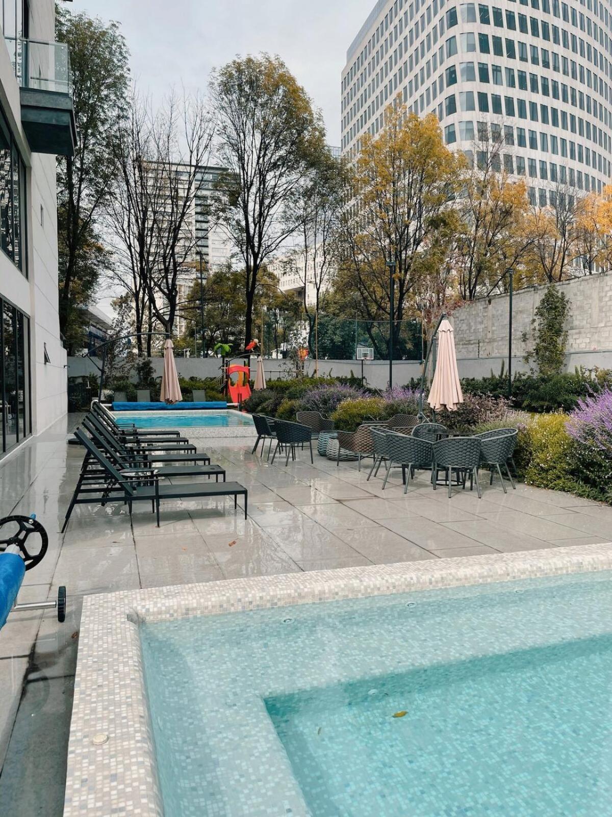 Sunlit Apt, Prime Location In Polanco, Fast Wifi